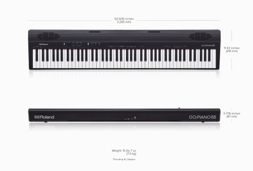 Roland GO-88P фото 12